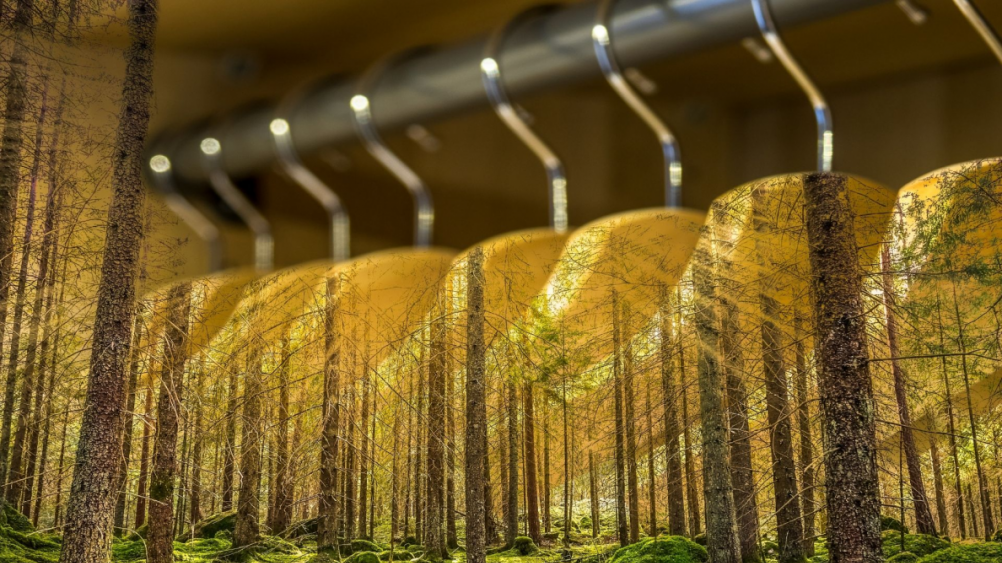 Impact of Sustainable and Organic Fabrics Within The Fashion Industry