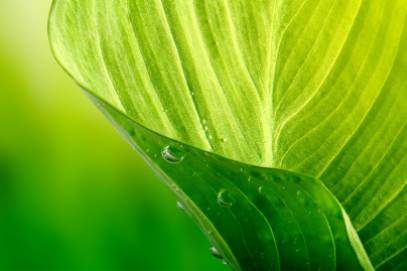 digital printing on fabric